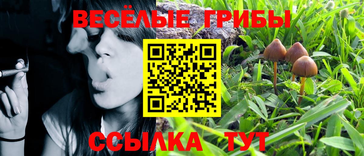 Верхняя Салда  Псилоцибиновые грибы мицелий  Вход с VPN 