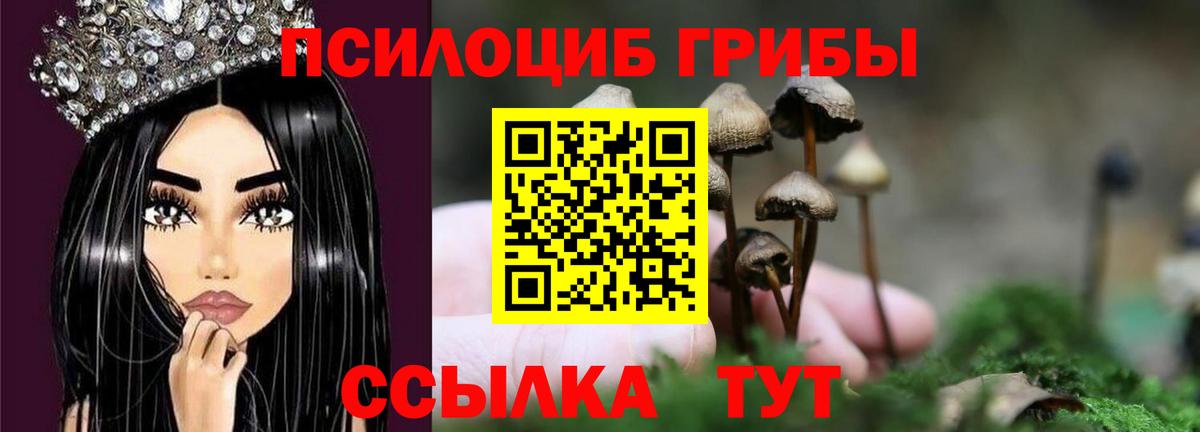 Псилоцибиновые грибы мицелий Верхняя Салда